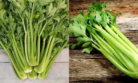 Loại rau ít thuốc trừ sâu, phụ nữ sau 40 tuổi nên ăn để nội tiết dồi dào