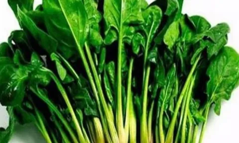 Những thực phẩm tốt cho gan bạn nên ăn vào buổi tối: Cập nhật thực đơn ngay hôm nay!