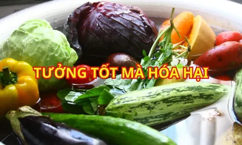 Ngâm rau sống nước muối tốt hay hại? Mách bạn 6 mẹo "vàng" dễ làm, hiệu quả hơn