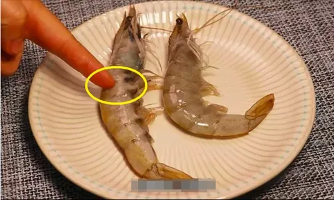 Ra chợ nên chọn mua tôm thẳng hay tôm cong: Tưởng đơn giản mà nhiều người chọn sai