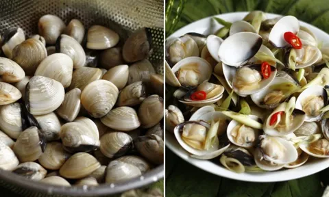 Mẹo làm ngao nhả sạch cát nhanh nhất, không cần ngâm