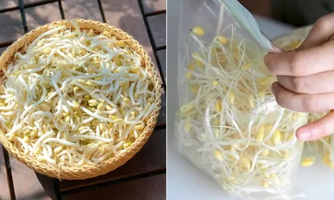 Giá đỗ mua về đừng bỏ ngay vào tủ lạnh, làm theo cách này để cả tuần vẫn tươi ngon