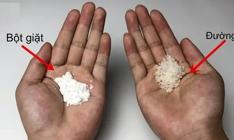 Trộn đường trắng với bột giặt đem rắc quanh nhà, hiệu quả "vàng mười" ai cũng thích