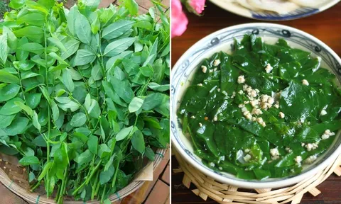 Rau ngót ngon - bổ - rẻ nhưng có 5 nhóm người không nên ăn