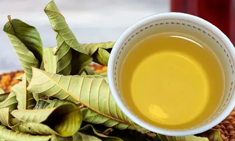 Uống nước lá ổi, cơ thể nhận được 6 lợi ích tuyệt vời này