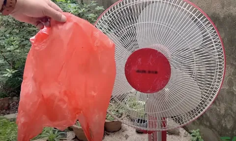 Vệ sinh quạt điện không cần tháo khung, làm theo cách này là loại bỏ hết bụi bẩn