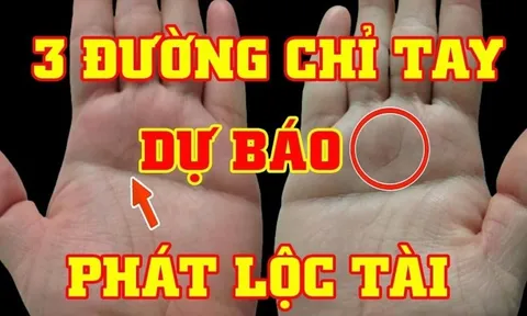 Xoè bàn tay rồi đếm đường chỉ tay: Ra đúng số này làm ăn phất mạnh, giàu to