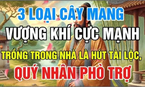 3 loại cây Vượng Khí Cực Mạnh: Trồng trong nhà giàu có 3 đời, con cái giỏi giang hiếu thảo