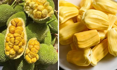 Ai không nên ăn mít, dù chín ngọt cũng không được động tới một miếng?