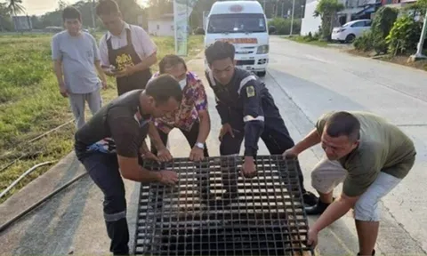 Nghe tiếng kêu dưới cống thoát nước, người dân chạy đến kiểm tra thì chứng kiến cảnh tượng không ngờ