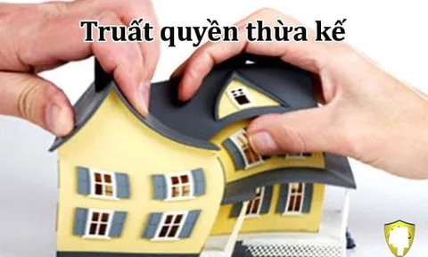 ４ Trường hợp con cái bị truất quyền thừa kế khi cha mẹ qua đời: Đó là trường hợp nào?