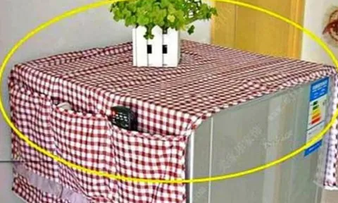 3 vật dụng tuyệt đối không nên đặt trên nóc tủ lạnh nếu không muốn "ngốn" điện và giảm tuổi thọ thiết bị