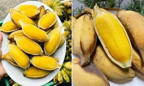 Cơ thể nhận được 6 lợi ích tuyệt vời này nếu mỗi ngày ăn 1 quả chuối luộc