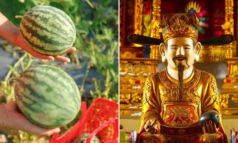 Vùng đảo hoang Mai An Tiêm trồng dưa hấu hiện giờ ở đâu?
