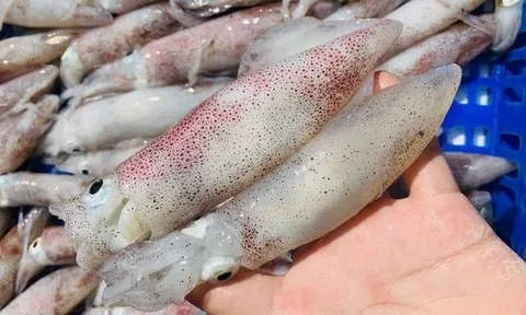 Cách chọn mực tươi ngon: Nắm lấy để dùng khi cần tới