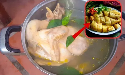 Luộc gà cùng nước lã vừa tanh vừa đỏ, thêm nắm lá này gà vàng ươm, chín đều ngọt thịt