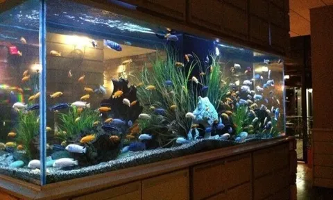 Không nên đặt 4 thứ này ở phòng khách, sẽ khiến gia chủ kiếm tiền khó khăn, của nả thất thoát
