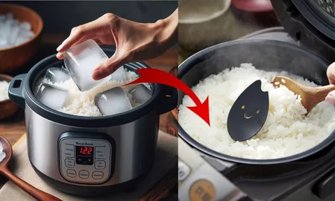 Thả viên đá lạnh vào nồi nấu cơm: Cơm để cả ngày vẫn dẻo ngon, giữ 90% dinh dưỡng