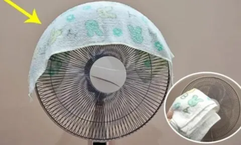 Đắp chiếc khăn vào quạt: Cả nhà mát rượi, ngủ ngon lại tiết kiệm khối tiền điện