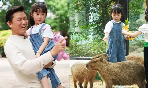 Con gái 5 tuổi của Quách Ngọc Tuyên “đốn tim” khán giả trong mùa mới “Bố ơi, mình đi đâu thế?”
