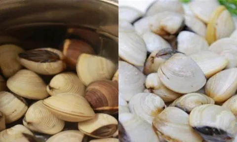 Ngâm ngao vào thứ nước này, ngao nhanh nhả sạch cát bẩn, thịt ngọt không tanh