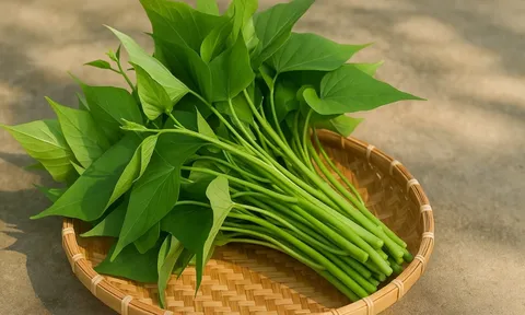 Rau lang – ‘thần dược’ bị lãng quên giúp đẹp da, tốt gan, bổ máu
