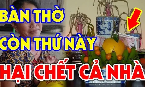 4 thứ càng để lâu trên bàn thờ Tổ Tiên Càng Tức Giận: Hạ ngay xuống trước khi quá muộn, đó là gì?