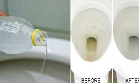 Nhà vệ sinh bốc mùi hôi tanh: Đổ thứ này vào mùi hôi bay sạch, không tốn tiền