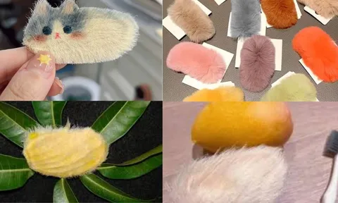Trào lưu biến hạt xoài vứt đi thành thú cưng quý như "cục vàng": Độc lạ và đầy thú vị!