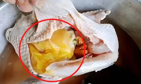 Bụng gà có 1 cục mỡ vàng: Nên ăn hay bỏ? Chỉ người sành ăn mới biết dùng