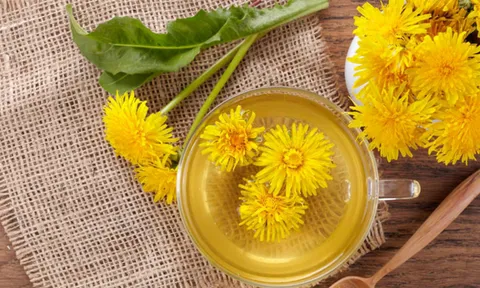 “Siêu thực phẩm xanh” mọc dại khắp Việt Nam được chuyên gia Mỹ khen ngợi hết lời: Thanh lọc gan, ngừa ung thư hiệu quả