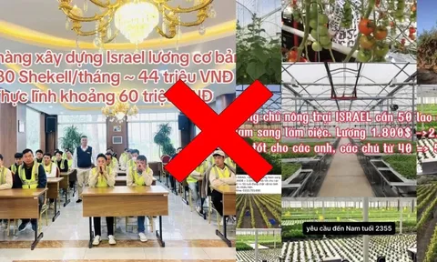 Cảnh báo: Tin tuyển dụng xuất khẩu lao động Israel là lừa đảo?