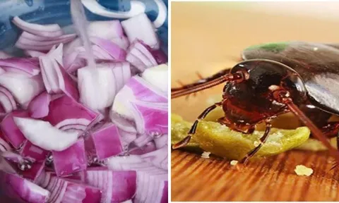 Đặt một củ hành tây ở góc phòng: Chúng có 3 công  tuyệt vời, ai ai cũng thích mê