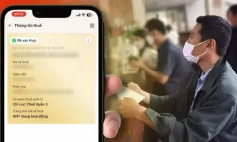 Hướng dẫn cách tích hợp Mã số thuế cá nhân vào VNeID