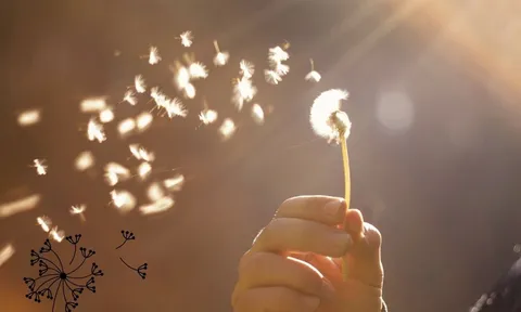 Muốn giàu sang Dồi Dào Phúc Lộc: 3 thứ vứt nhanh, 3 thứ giữ chặt, làm được đời sang trang Phú Quý