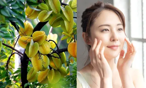 5 Mẹo làm đẹp bất ngờ, da sáng tóc mượt từ cây khế. Trong nhà trồng 1 cây vừa khỏe vừa xinh đẹp