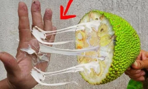 Bóc mít dính đầy nhựa trên tay? Dùng ngay gia vị quen thuộc này, sạch bong trong vài giây