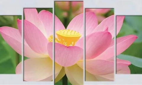 Trong nhà có 3 bức tranh phong thủy may mắn này, cuộc đời bạn sẽ thay đổi hoàn toàn tích cực