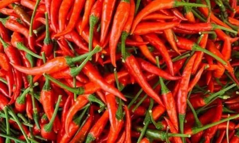 Mỡ máu cao gây bệnh tim, đột quỵ nhưng “kỵ” quả rẻ tiền bán nhiều ở chợ Việt