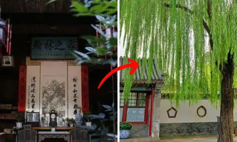 Người xưa dạy không sai: " Trong sân tránh trồng 3 cây, trong nhà kiêng treo 3 vật", con cháu nhớ nghe theo