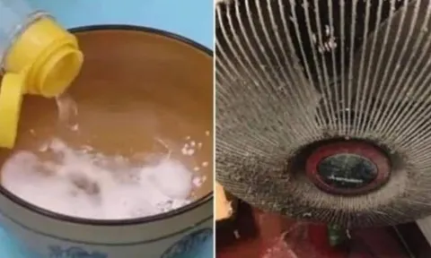Mẹo vệ sinh quạt điện không cần tháo khung: Sạch bong chỉ sau vài phút, ai cũng làm được