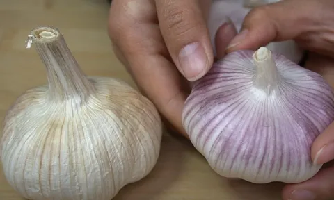 Tỏi vỏ tím hay vỏ trắng ngon hơn, để lâu không bị mọc mầm?