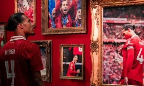 Hato, Diomande, Bastoni: Ai là người kế nhiệm lý tưởng cho Van Dijk ở Liverpool?