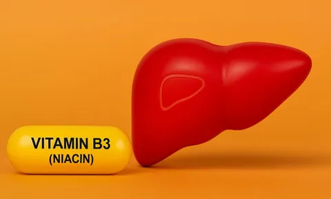 Phát hiện gây sốc: Loại vitamin quen thuộc có thể là “vũ khí bí mật” chống lại bệnh gan