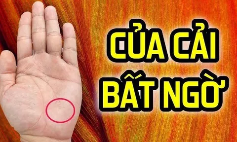Thầy Tử vi chỉ rõ: Nhìn tướng tay hay hơn tướng mặt, người có 4 điều này 3 đời tiêu không hết của