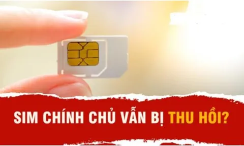 5 trường hợp dù là chính chủ vẫn bị khóa SIM, thu hồi số điện thoại: Ai cũng nên biết kẻo thiệt thòi