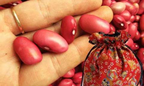 Đầu tháng, nhớ đặt 1 trong 3 thứ này dưới gối, để tài lộc, vận may ùn ùn kéo đến