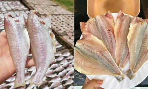 Loại cá ngày xưa chẳng ai thèm ăn, giờ thành đặc sản được xuất khẩu, tranh nhau mua
