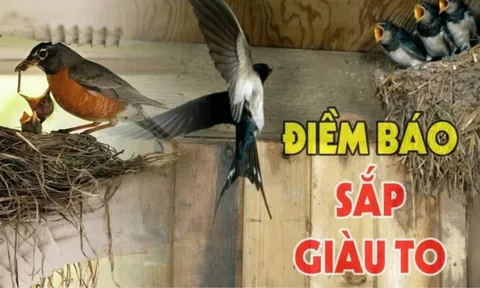 6 điềm lành đến cửa, gia đình đón tin vui, tiền bạc tứ phía đổ về