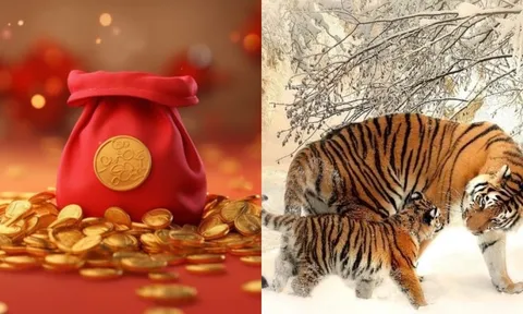 Gia đình có ba con giáp này, chỉ cần có một người, bốn đời con cháu không lo cơm ăn áo mặc
